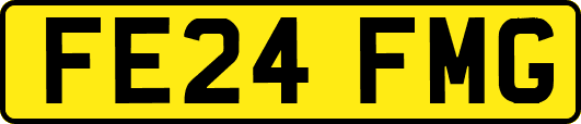 FE24FMG