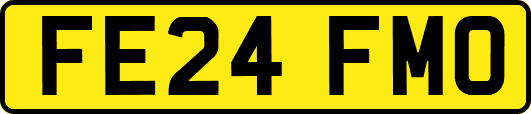 FE24FMO
