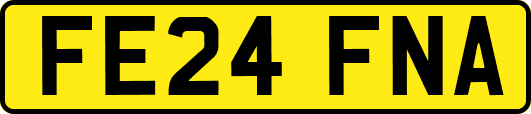 FE24FNA