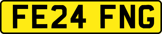 FE24FNG