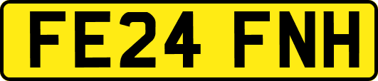 FE24FNH