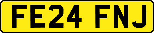 FE24FNJ