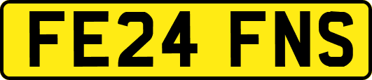 FE24FNS