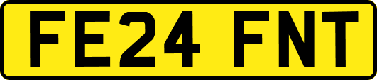 FE24FNT