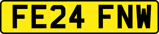 FE24FNW