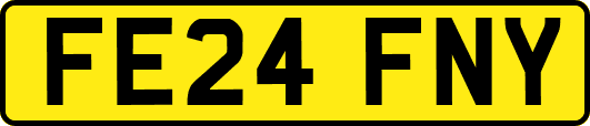 FE24FNY