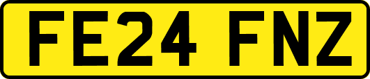 FE24FNZ