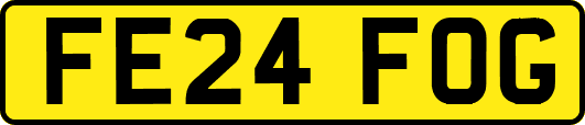 FE24FOG