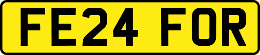 FE24FOR