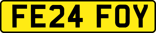FE24FOY
