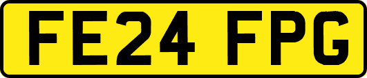 FE24FPG
