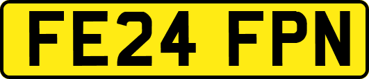 FE24FPN
