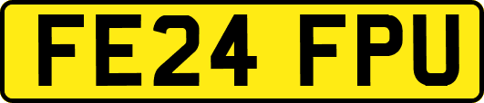 FE24FPU