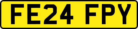 FE24FPY