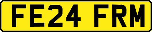 FE24FRM