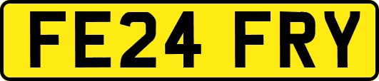 FE24FRY
