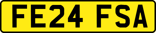 FE24FSA