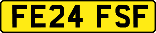FE24FSF
