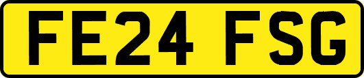 FE24FSG