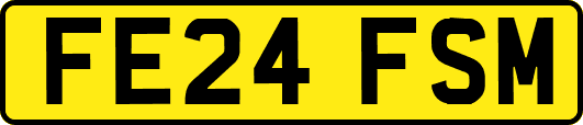 FE24FSM