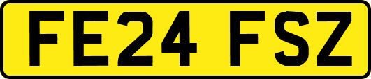 FE24FSZ