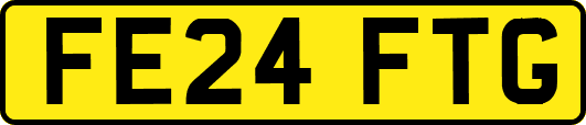 FE24FTG