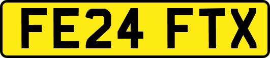 FE24FTX