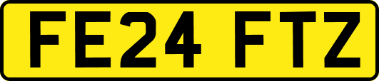 FE24FTZ