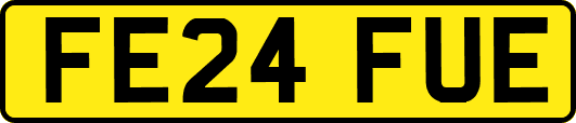 FE24FUE
