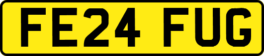 FE24FUG