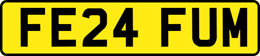 FE24FUM