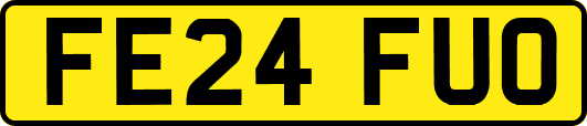 FE24FUO