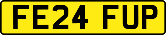 FE24FUP
