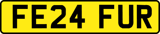 FE24FUR