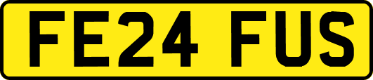 FE24FUS