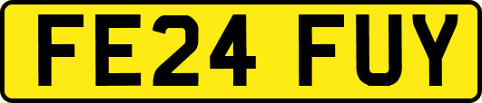 FE24FUY