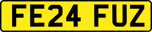 FE24FUZ