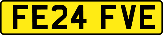 FE24FVE