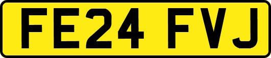 FE24FVJ
