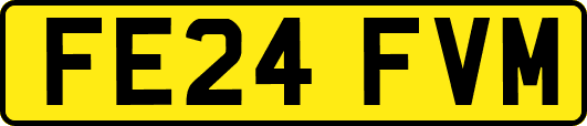 FE24FVM