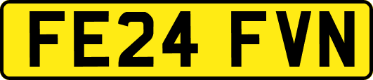 FE24FVN