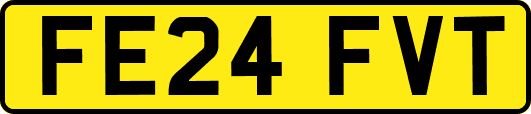 FE24FVT