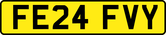 FE24FVY