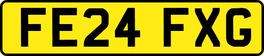 FE24FXG