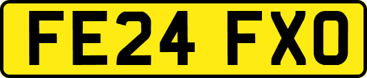 FE24FXO