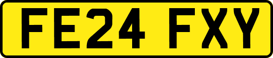 FE24FXY