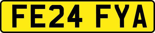 FE24FYA