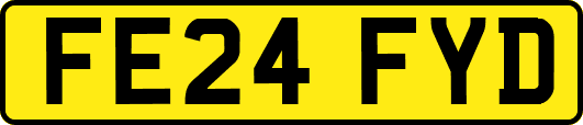 FE24FYD
