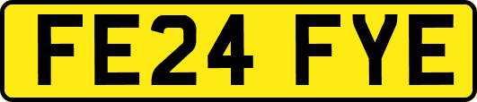 FE24FYE
