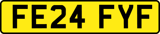 FE24FYF